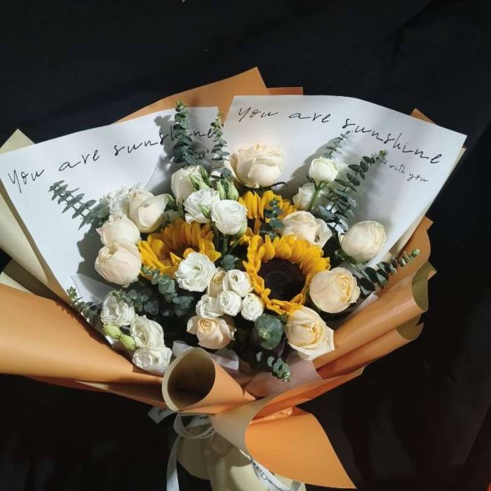 ���콭��������